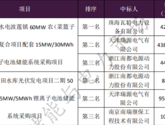 均價1.55元/Wh 東南粵水電儲能系統(tǒng)采購項目開標